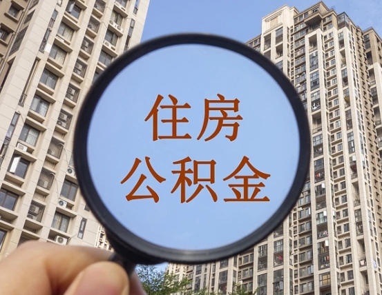 郯城退休后查不到公积金明细了吗（退休后公积金查询不到原因）
